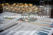 会计电算化中什么是基础_会计电算化主要学什么-