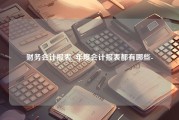 财务会计报表_年度会计报表都有哪些-