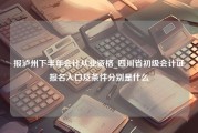 报泸州下半年会计从业资格_四川省初级会计证报名入口及条件分别是什么