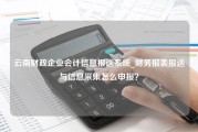 云南财政企业会计信息报送系统_财务报表报送与信息采集怎么申报？