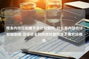 现金内部控制属于会计控制吗_什么是内部会计控制制度-货币资金的内部控制制度主要包括哪些-