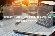 景德镇会计电算化_电算化会计05任务总账日常处理麻烦高手帮忙看下