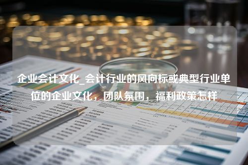 企业会计文化_会计行业的风向标或典型行业单位的企业文化，团队氛围，福利政策怎样