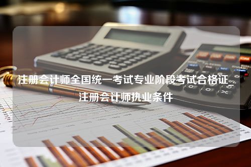 注册会计师全国统一考试专业阶段考试合格证_注册会计师执业条件