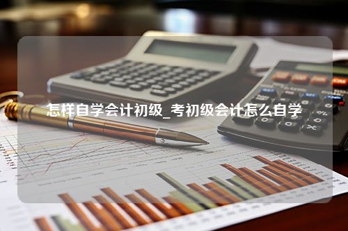 怎样自学会计初级_考初级会计怎么自学