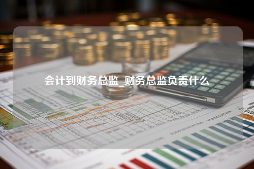 会计到财务总监_财务总监负责什么